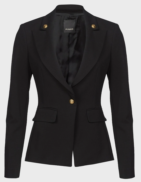 Pinko 1G158V-1739-Z99-black фото-1