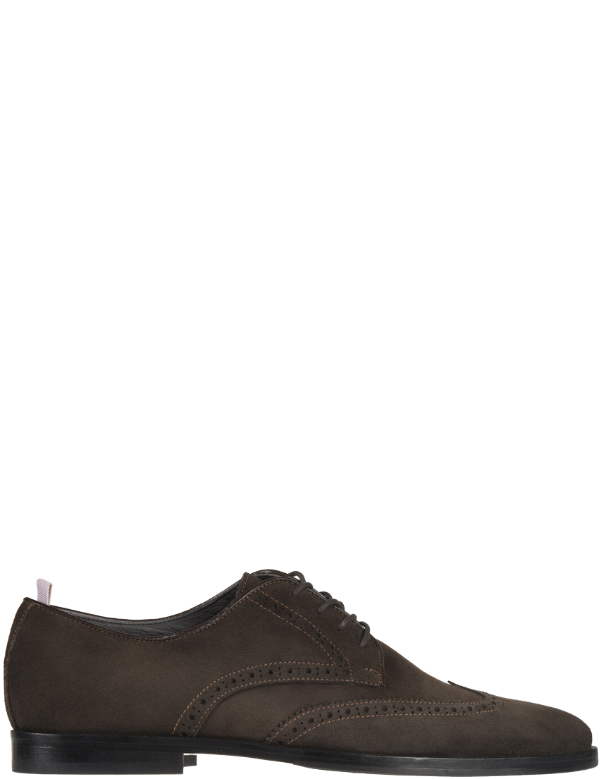 

Дерби, Коричневый