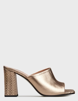 POLLINI