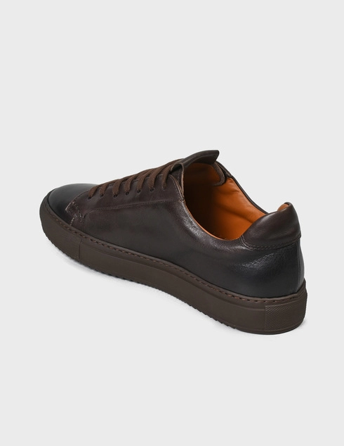мужские коричневые Кеды Doucal'S DU1796K0BEU7188TM00-brown - фото-2