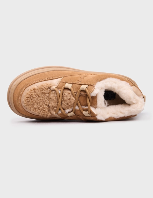 бежевые женские Кеды Colors Of California Hortin-star-7-_beige 8798 грн