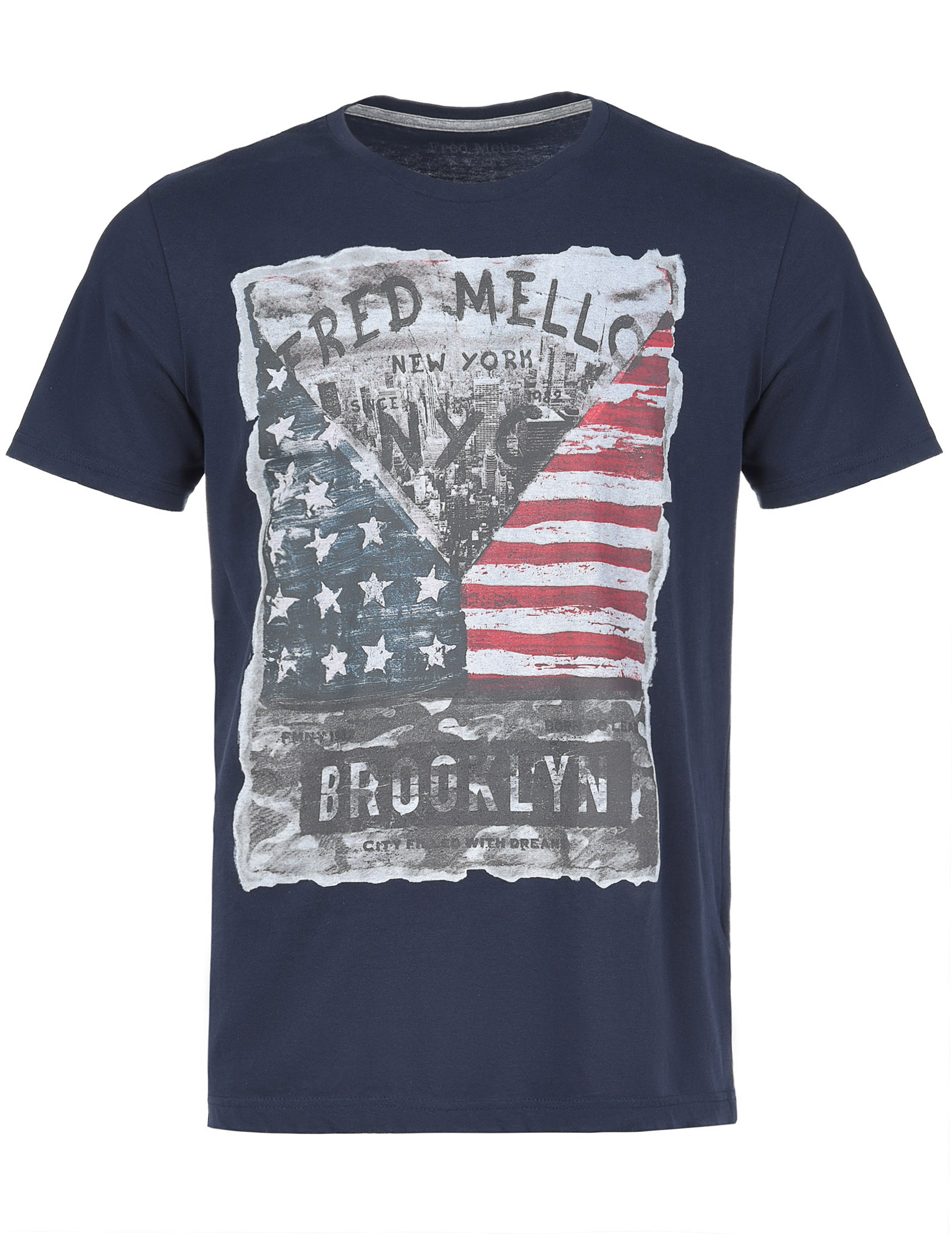 Мужская футболка FRED MELLO FM18S31TG_blue
