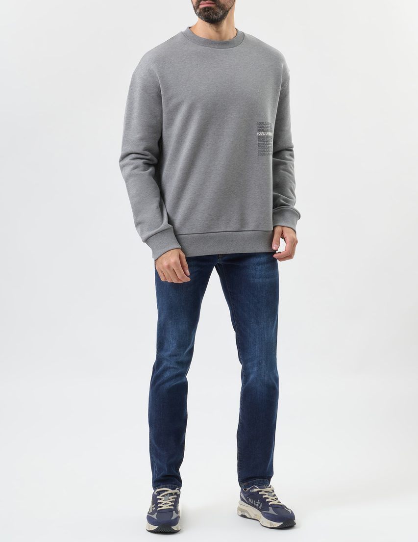 Karl Lagerfeld 705126_gray фото-2