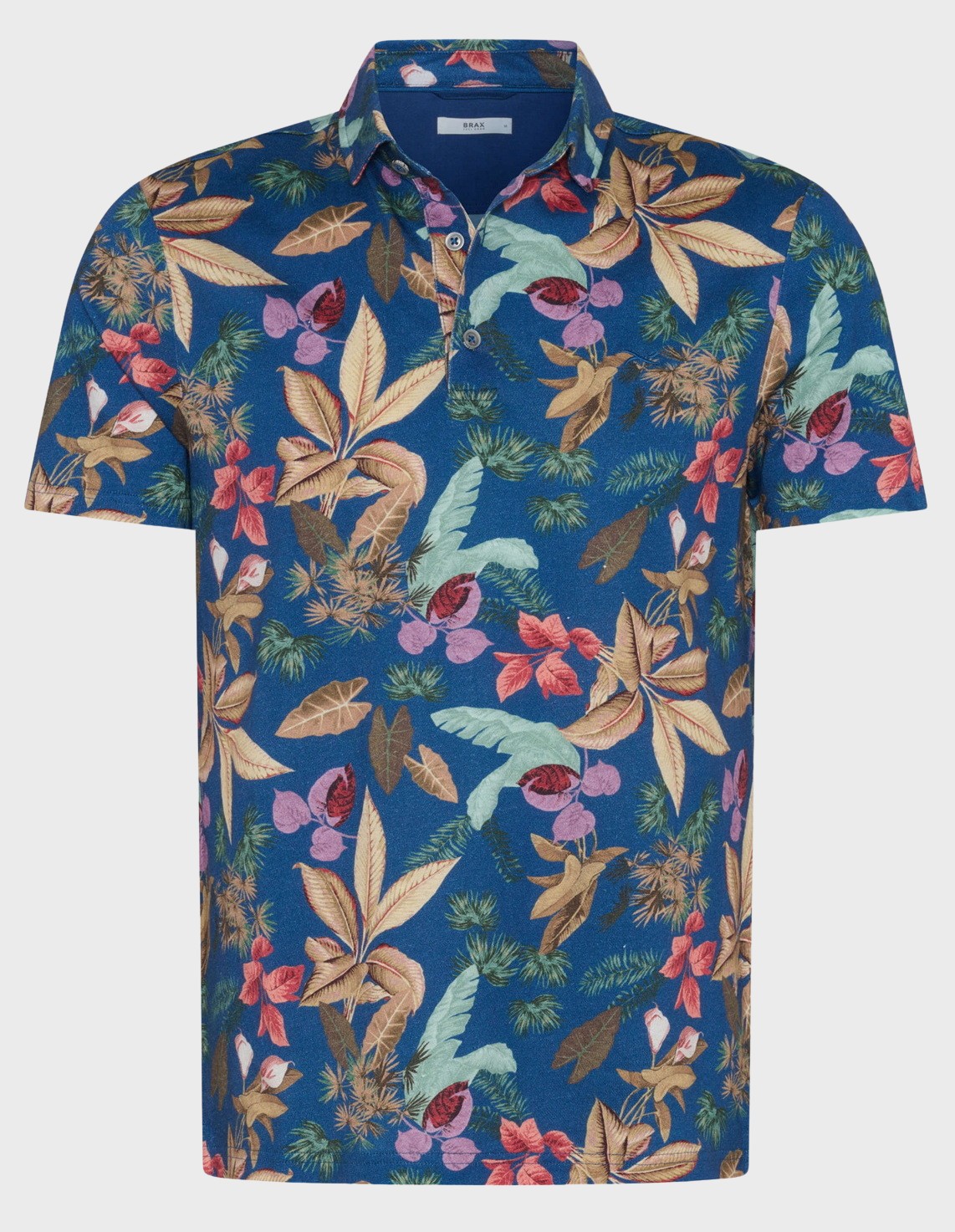 

Поло, Многоцветный