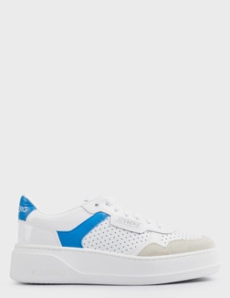 ICEBERG