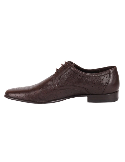 мужские коричневые Дерби Mirko Ciccioli AGR-4369-brown - фото-2