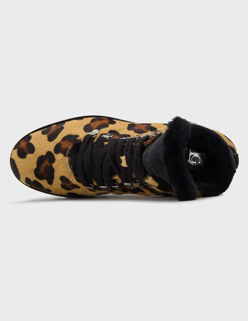 принт женские Ботинки Luca Grossi L614T_print 20690 грн