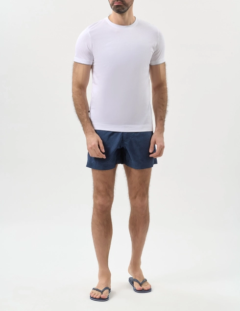 Paul Taylor PT7TSF004001C00 фото-2