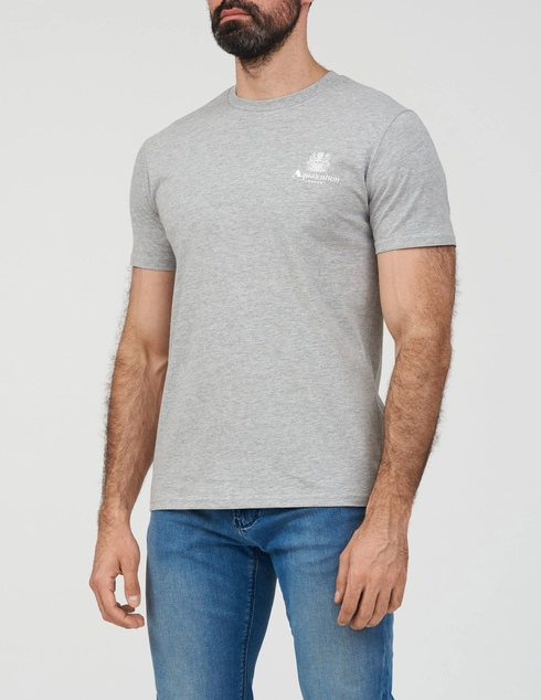Aquascutum AB_CORE_TS001-052_gray фото-2