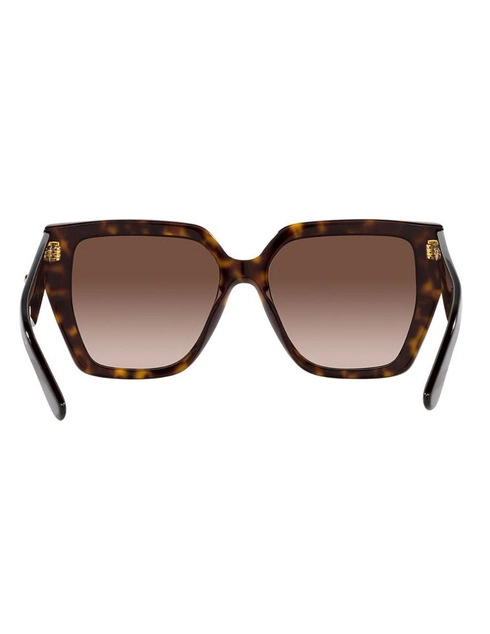 Dolce & Gabbana DG 4438 502/13 55 фото-4