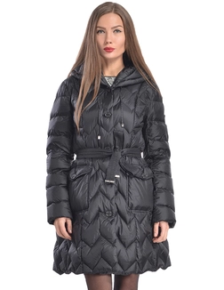 CERRUTI 18CRR81