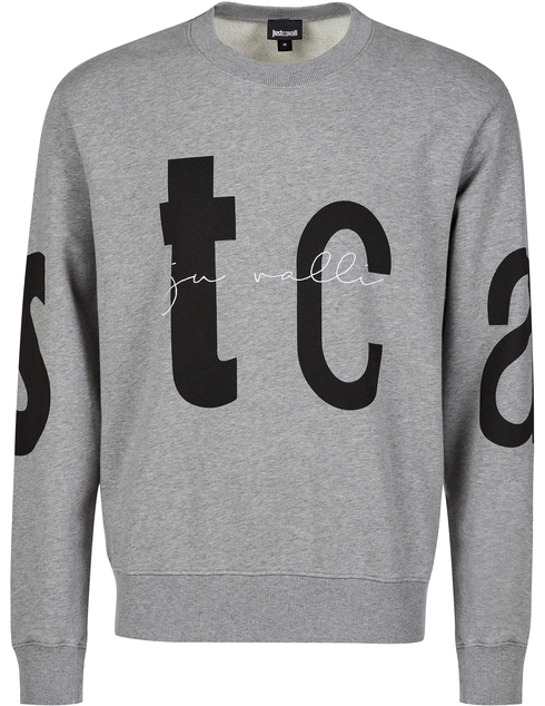 Just Cavalli S01GU0073-816_gray фото-1
