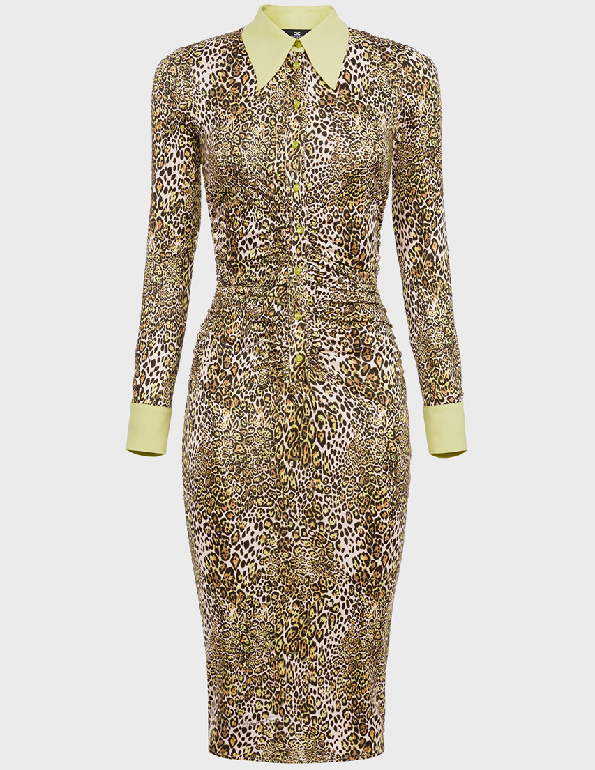 Elisabetta Franchi AB-944-06E2-V399-105 фото-2