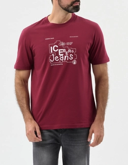 ICEBERG