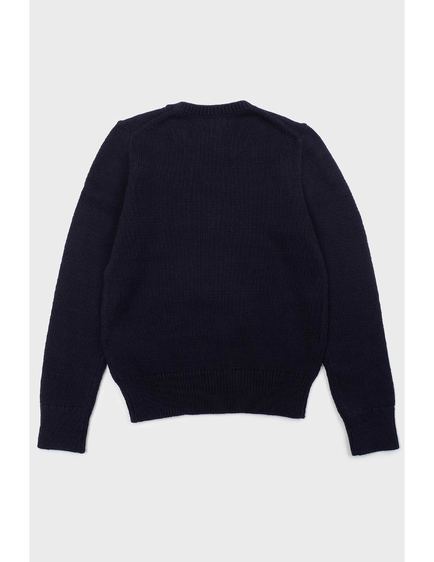 Светр Polo Ralph Lauren RALPH_LAUREN_CHILDREN_683_180292 (Темно
