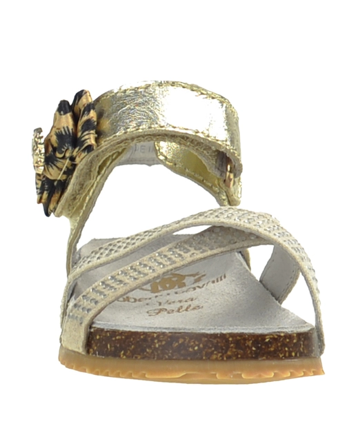 Roberto Cavalli CN41246_gold фото-4
