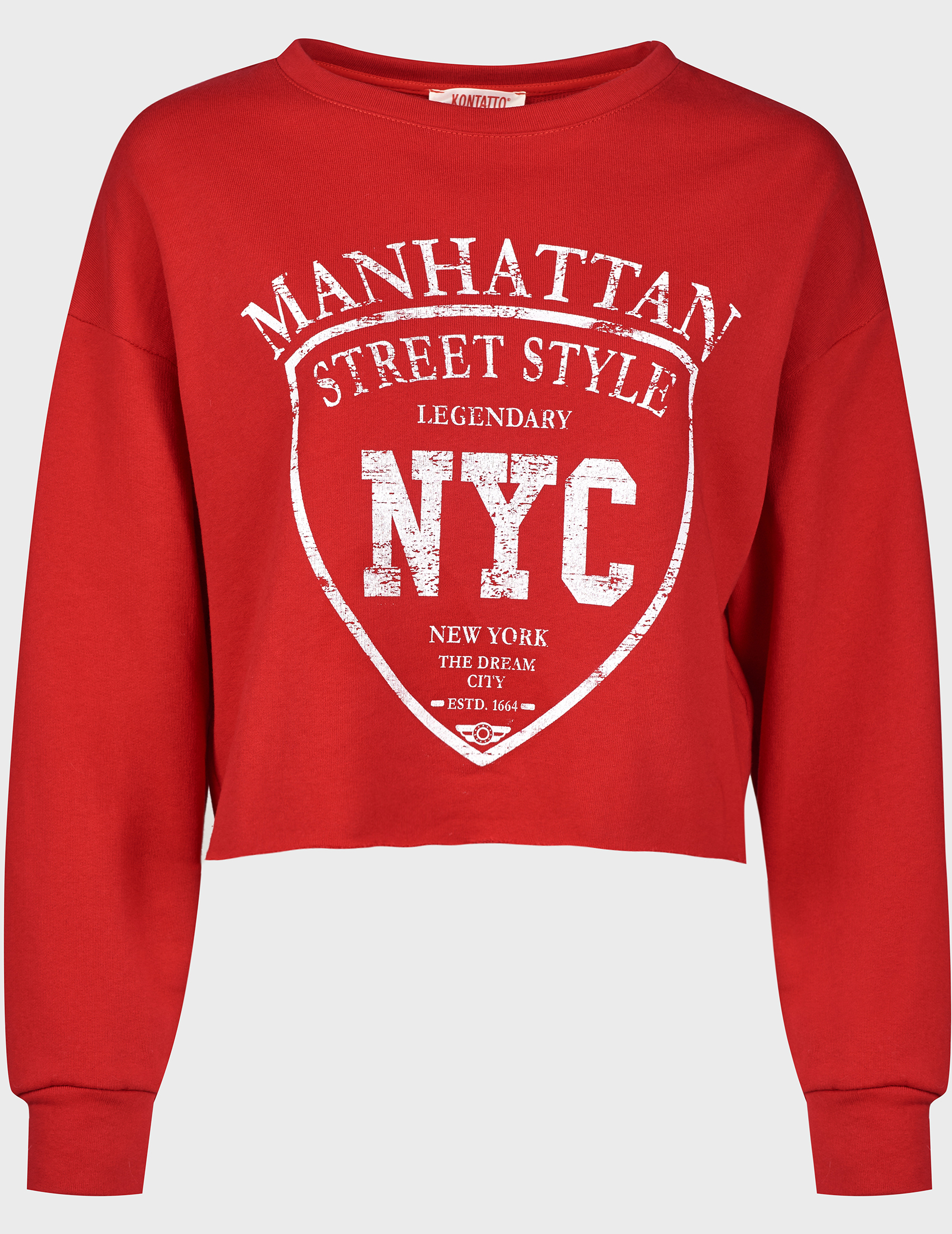 

Джемпер, Красный;принт