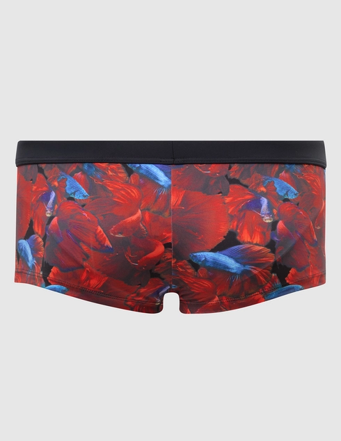 Geronimo 2026b2-20262-multi фото-2