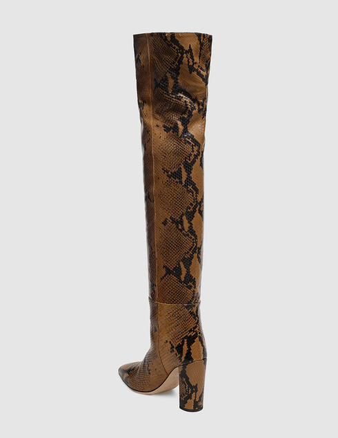 женские коричневые Сапоги Paris Texas PX138P-brown - фото-2