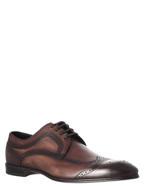 коричневые Туфли Dolce & Gabbana DGCA6255