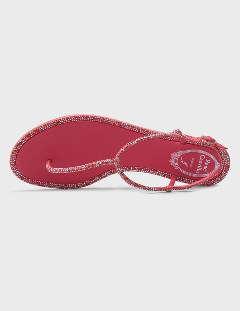 розовые женские Сандалии Rene Caovilla 7587_pink 41055 грн