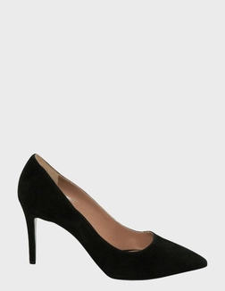 POLLINI