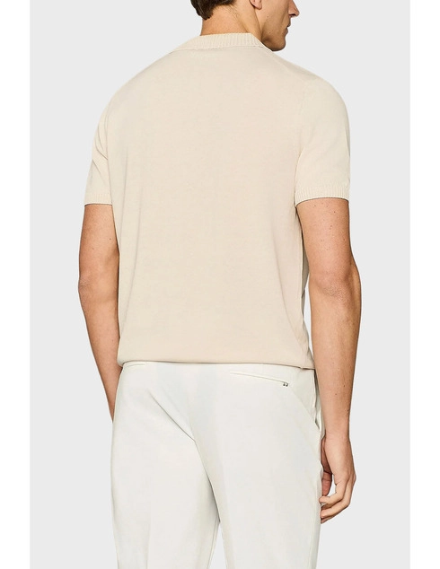 Paul Taylor PAUL_TAYLOR_166 фото-2