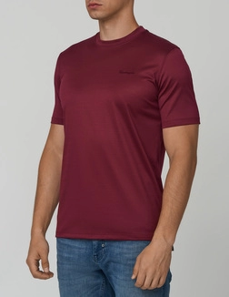 CASTANGIA