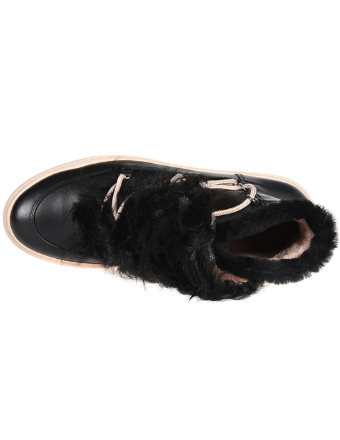 черные женские Ботинки Camerlengo 14902_black 10712 грн