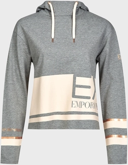 Emporio armani sale ea7 master hoodie