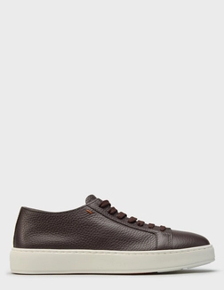 SANTONI