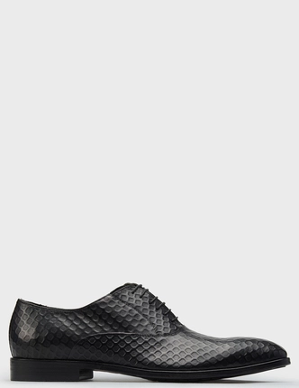 SANDRO G. оксфорды