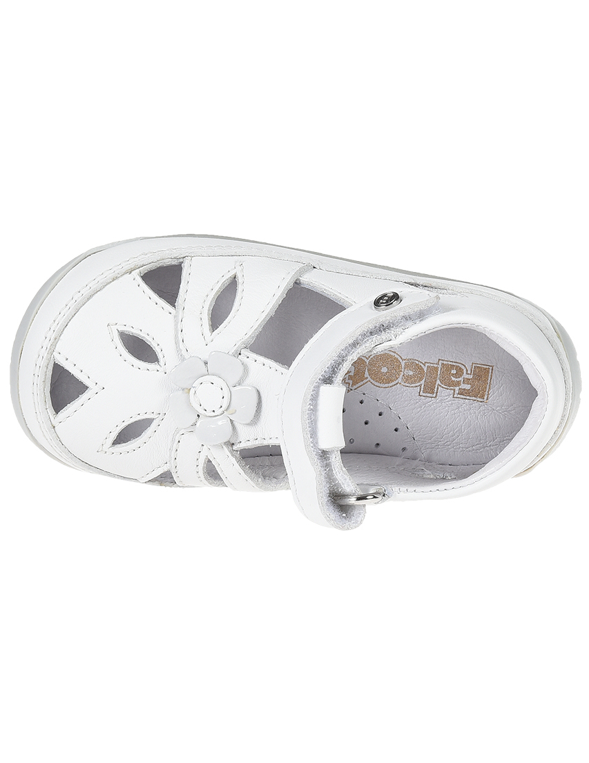 Catalogo Falcotto, Offerte Falcotto Online | Quellogiusto Shop online