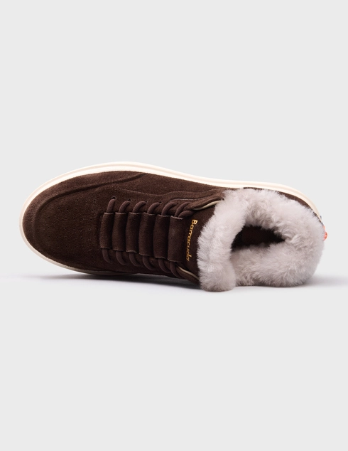 коричневые женские Кеды Barracuda 1415-brown 20183 грн
