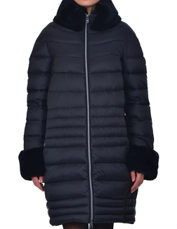 CERRUTI 18CRR81