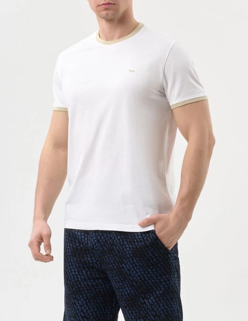 Harmont&Blaine IRQ407021909_100_blue фото-3