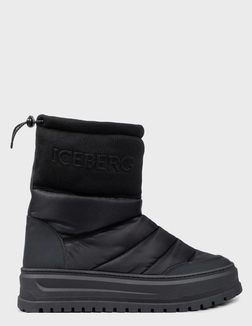 ICEBERG