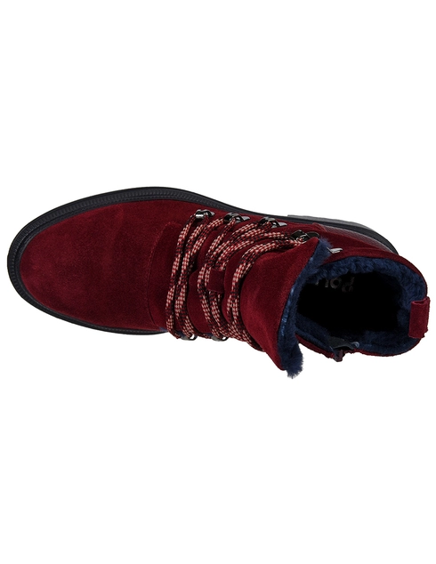 бордовые женские Ботинки Pollini 24094-bordo 7490 грн