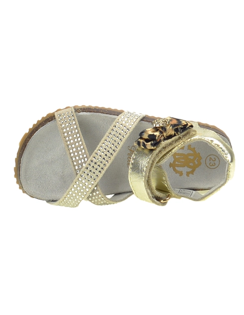 Roberto Cavalli CN41246_gold фото-5