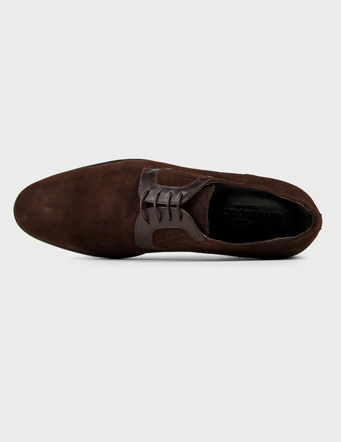 коричневые мужские Дерби Giampiero Nicola 19810-brown 4186 грн