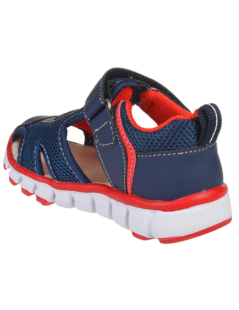 Falcotto 611-navy-rosso_blue фото-2
